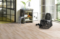 Parador Basic Plus 200 1426399 Ясень Шлифованный фото 3 | FLOORDEALER